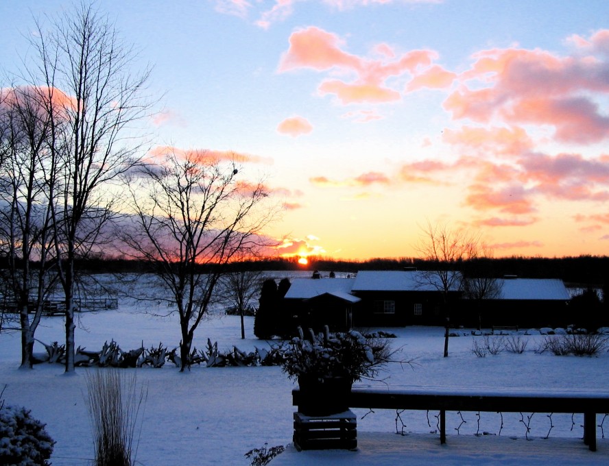 Farm sunrise
